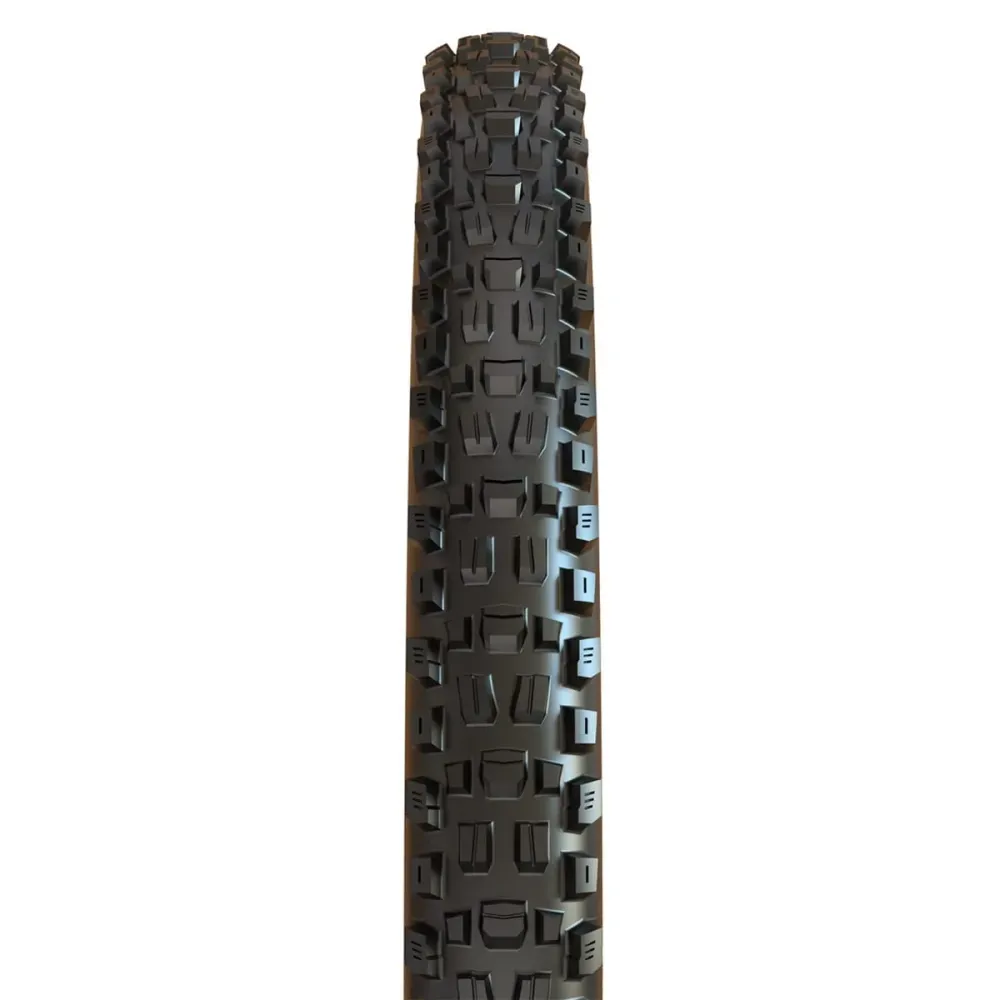 MAXXIS ASSEGAI 29x2.50 WT BikePark DH Tubeless Ready Rigid Black däck
