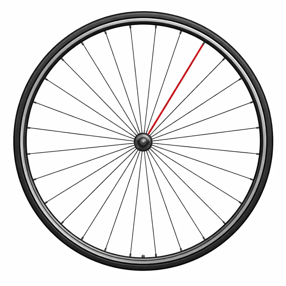 CAMPAGNOLO Eker + SHAMAL ULTRA DISC Nippel höger bak (x1)