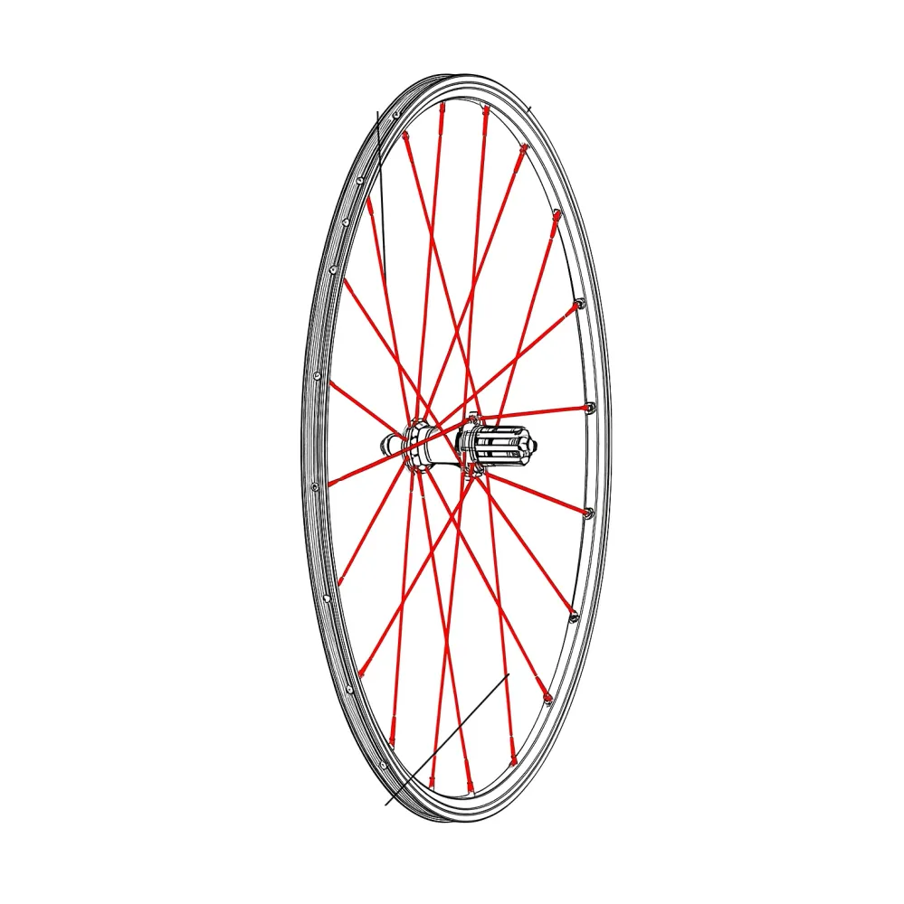Sats med 12 MAVIC CROSSRONE/CROSSRIDE FTS-X 262 mm bakre ekrar